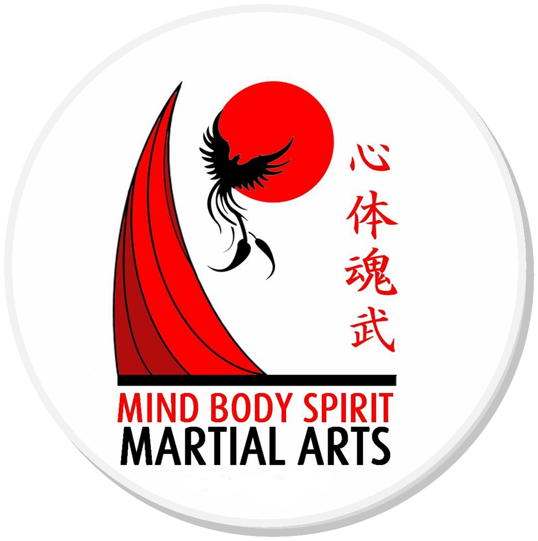 Mind Body Spirit Martial Arts - Martial Arts Classes in Chesterfield