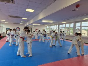 Adults & Young Masters Ju-Jitsu